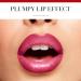 Bourjois Sweet Duo Lipstick Number 05 Mi figue-Mi Raisin 1 g 05 Mi figue-Mi Raisin 1 count (Pack of 1) - Buy Online on GoSupps.com