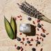 COMUNE Revitalize Overnight Mask - Nourishing Night Cream for Deep Hydration & Radiant Skin | Anti-Aging Solution for All Skin Types | 50 mL - Buy Online on GoSupps.com