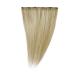 American Dream Quick-Fix Clip In Hair Extensions - 100% Human Hair Colour C59A - Sunkiss Blonde