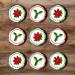 PRECUT Christmas Poinsettia Holly Cupcake Toppers Christmas Edible Holly Cake Decorations Christmas Cake Topper Xmas Cupcake Decoration Poinsettia Cake Decorations (12) - Buy Online on GoSupps.com