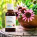 Dr Corbyn Immunity Support Bundle: Echinacea Tincture Drops (50ml) & Vitamin D3 1 000IU (50ml) | Highly Absorbable & Fast Acting Bundle - Buy Online on GoSupps.com