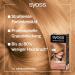 Syoss Coloration 9-67 Coral Gold - Pantone-Inspired Permanent Hair Color (3 x 115ml) | Professional Gray Coverage & 80% Less Hair Break | Buy Now! - Buy Online on GoSupps.com