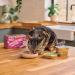 Lily's Kitchen Natural Soft Pate for Adult Cats Grain Free Recipes Multipack (32 x 85g Tub) - Buy Online on GoSupps.com