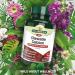 Natures Aid Chewable Calcium 400mg with Vitamin D - 60 Tabs for Strong Bones & Teeth - Buy Online on GoSupps.com