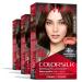 Permanent Hair Color by Revlon Permanent Hair Dye Colorsilk with 100% Gray Coverage Ammonia-Free Keratin and Amino Acids 041 Medium Brown (Pack of 3)