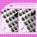 ALPHONSE Lash Clusters 70 Pcs Natural Look Eyelash Extension Pack 8-16MM Mixed Length Individual Wispy DIY Lashes - Style D - Buy Online on GoSupps.com