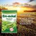 Buy EM-eukal Coughing Candy Classic - Sugar-Free & Lactose-Free Lollipops with Eucalyptus Oil & Menthol - Large 10x75g Pack | International Shipping - Buy Online on GoSupps.com
