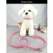 Newtensina Cute Diamante Puppy Collar and Leash Set Bling Suede Collar with Lead for Small Dogs Cats - Pink - XS XS Pink - Buy Online on GoSupps.com