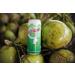 Taste Nirvana Real Coconut Water with Coco Pulp and Tender Coconut Bits, 16.2 Fl Oz (Pack of 12) - Buy Online on GoSupps.com