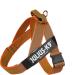 Julius-K9 Color & Gray Belt Harness L/1 - Orange-Grey | Premium International Shipping - Buy Online on GoSupps.com