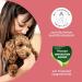 Mammaly Lucky Belly Allergy Fit - Grain-Free Probiotics Digestive Snacks for Dogs (90 Pieces) - Chicken-Free Intestinal Health Treats - Buy Online on GoSupps.com