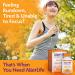 AllerLife Energize Capsules | Daily Allergy Supplements & Energy Support - 20 Count - Buy Online on GoSupps.com