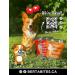 Berta Bites Freeze Dried Chicken Tender Bites - Buy Online on GoSupps.com