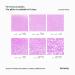 Hemway Ultrafine Lavender Sparkle Glitter 100g - Cosmetic Safe Extra Fine Glitter for Crafts & DIY Projects - Buy Online on GoSupps.com