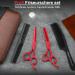 Purple Dragon 5.5 Inch Hairdressing Scissors Set (Red) 5 5" Red - Buy Online on GoSupps.com