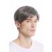 Wig Me Up-GFW994-44 Men Men Wig Short Hall Hair Hair Fashionable Gray Dark Gray With Black Dark Brown Mix (44) Length: approx. 20 cm