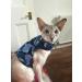 Mynwood Escape Proof Jacket/Harness for Adult Cats - Blue | International Shipping Available - Buy Online on GoSupps.com