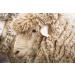 Buy Fibertec Wool Wash Eco - Bluesign Certified Wool Detergent for Merino Wool | 3L Bag in Box International Shipping Available - Buy Online on GoSupps.com