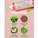 Vertty Tea Tree Vitamin Boosting Coral Toner - Hydrating Brightening Moisturizing Facial Toner with Vitamin B12 for Redness Relief | Non-Comedogenic (8.4fl oz - Buy Online on GoSupps.com