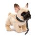 Uni -toys - French bulldog (beige) with a leash - 27 cm (length) - plush dog mastiff pet - plush toy cuddly toy beige - with leash (upper material acrylic)