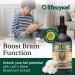 Life Cykel - Lion's Mane Mushroom Extract with Kakadu Plum - Brain Booster Nootropic for Memory Focus & REM Sleep - Non-GMO Organic Mushroom Tincture - 4 Fl Oz (60 Servings) 4 Fl Oz (Pack of 1) - Buy Online on GoSupps.com