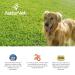 NaturVet GrassSaver Plus Enzymes for Dogs - 240 Soft Chews | Premium Lawn Protection - Buy Online on GoSupps.com