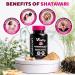 VitaUp Shatavari Capsules for Women 1200mg - USA Made Shatavari Root Supplement for Normal Hormonal Support Menopause & Menstrual Wellness - 60 Vegan Capsules - Buy Online on GoSupps.com