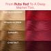 INH Ruby Red Semi-Permanent Hair Color Depositing Conditioner 6oz - Safe Temporary Hair Dye for Vibrant Red Hair - Buy Online on GoSupps.com