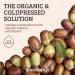 Gonaturals Organic Jojoba Oil for Hair Care - Revitalize & Strengthen Hair Cold-Pressed Skincare Oil (100ml) - Buy Online on GoSupps.com