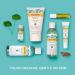 Burt's Bees Natural Acne Solutions Maximum Strength Spot Treatment Cream for Oily Skin  0.5 Oz (Package May Vary) Targeted Spot Treatment - Buy Online on GoSupps.com