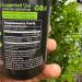 Alkaline Care - Green Tea with Spirulina Extract 1500mg - High Absorption Ultra Potent Green Tea Supplement with Spirulina - Green Tea for Energy & Metabolism Support Capsules - 120 Capsules - Buy Online on GoSupps.com