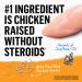 Beyond Grain Free Natural Dry Dog Food Farm-Raised Chicken & Egg - 1.36 kg Bag 1.36 kg (Pack of 1) - Buy Online on GoSupps.com