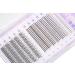 Ninetynine 240pcs Mixed Pack C Curl False Eyelash Extension Individual Lashes, Fairy Style & Fish Tail, Natural Clusters - 240 Count - Buy Online on GoSupps.com