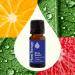 Plant Therapy Blues Buster Essential Oil Blend 10 mL (1/3 oz) 100% Pure Undiluted Mood Boosting Stress Relief Aromatherapy - Buy Online on GoSupps.com