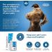 ICF Clorexyderm OTO Piu Ear Cleaner for Dogs & Cats - Double Pack (2 x 150ml) - Best International Shipping - Buy Online on GoSupps.com