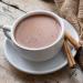 Mexican Hot Chocolate  8 Ounce (Pack of 2)  Authentic Mexican Style Hot Chocolate Mix with Organic Cacao Beans and Cinnamon by La Monarca Bakery - Buy Online on GoSupps.com