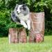 Fitmin Dog Purity GF Adult Beef Dog Food 2 kg - Buy Online on GoSupps.com