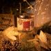Buy White Barn 3-Wick Candle w/Essential Oils - 14.5 oz - Tis The Season | Burgundy Soy Wax | Holiday Scents | International Shipping - Buy Online on GoSupps.com