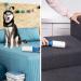 PetLovers Extra Sticky Lint Roller Mega Value Set - 450 Sheets for Pet Hair Removal - Dog and Cat Lint Remover - Buy Online on GoSupps.com