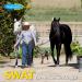 Farnam SWAT Fly Repellent Ointment 7oz - For Horses, Ponies & Dogs - Buy Online on GoSupps.com