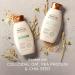 Aveeno Strength & Length Plant Protein Blend Conditioner Vegan Formula for Strong Healthy-Looking Hair 354 mL - Buy Online on GoSupps.com