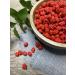 French Burnt Peanuts 5LB Bag by Sconza Chocolates | Sweet & Crunchy Roasted Peanuts in Candy Shell | Old Fashioned Bulk Candy - Buy Online on GoSupps.com