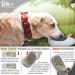 NEW 3 Series Dog Drinking Bottle Gift Set | 550ml Leak-Proof Bottle with Feed Bag & Toothbrush | Premium On-the-Go Solution for Dogs - Buy Online on GoSupps.com