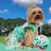 CUSOZWO Small Dog Clothes - 2 Pack Flower Dog Dress for Small Dogs and Cats - Elegant Spring Princess Skirt Outfit (M) - Buy Online on GoSupps.com