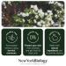 New York Biology Aloe Vera Gel with Tea Tree Oil - Moisturizing for Face, Skin, and Hair - Sunburn Relief - 16.9 Fl Oz - Buy Online on GoSupps.com