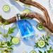 Nautica Blue Eau de Toilette 1.7 fl oz (Pack of 1) Notes of Basil Jasmine and Cedarwood Men's Fragrance Long Lasting Everyday Fragrance Travel Size Eau de Toillete 1.6 Fl Oz (Pack of 1) - Buy Online on GoSupps.com