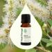 Plant Therapy Niaouli 1 8-Cineole Essential Oil 10 mL (1/3 oz) 100% Pure Undiluted Aromatherapy Soothing Essential Oils for Skin Irritation and Muscle Soreness - Buy Online on GoSupps.com