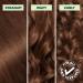 Garnier Nutrisse Ultra Cr me Permanent Hair Dye 100% Grey Coverage Vegan Formula Nourished Hair Long-Lasting Rich Colour 535 Medium Golden Mahogany Brown 1 Application Packaging May Vary BROWN SHADES 535 Medium Golden Mahogany Brown - Buy Online on GoSupps.com
