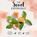 Herbal Essences Naked Volume Shampoo - White Grapefruit & Mosa Mint 13.5 fl oz - Buy Online on GoSupps.com