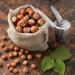 NATURAL FOOD Savoureuses Noisettes En Coque - V g talien Naturel Non Trait Haute Qualit - Riche En Acides Gras Essentiels - pour les Desserts au Muesli ou Dans les Salades - Grand Emballage 10 kg Noisettes 10 kg - Buy Online on GoSupps.com